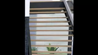 The Visit - Ep 25 - Rosa Wants Trouble