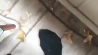 Fucking This Girl on My Balcony, Finger Blast Then Anal!