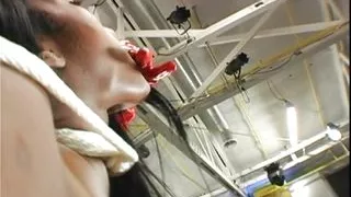 Irrefrenabili Godimenti Vol.2 - Episode 8