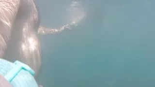 unseen real amateur home made sex video clips off my phone  part one