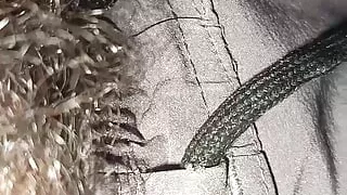 Gay boy handjob video in locker room