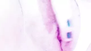 Masturbating my pussy nicely on webcam