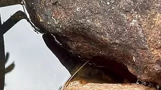 Cumpilation cumshots. Guaranteed to make you come. Young Asian just 18 smooth twink jerking and cumming