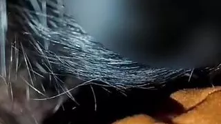 Hot na naman ka fubu ko kaya bilis ko labasan.