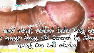 Sri lankan Big Penis male model HandJob remember the akka