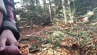 In nature in the forest