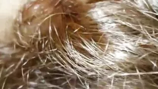 I sucked his cock, they liked it, and you welcome me with sweets until I got five synonyms