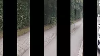 Black transparent womans tights