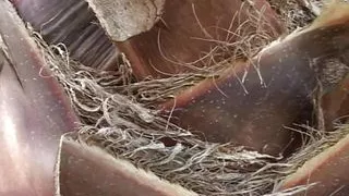 Everthing gonna be, we fuck! Ep 3