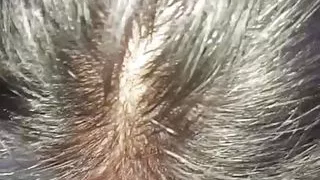 After work, inviting him to shoot tiredly disappeared