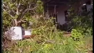 Hot games for two sexy brunettes