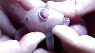 Silicone cage placed drastically on the dick for punishment.