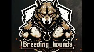 Muscle bear getting his hairy hole eaten by his tattooed straight bro