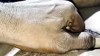 boy friend chuda chudi video hot couple