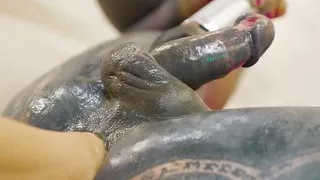 Stacy Bloom Fisted Sissy Lily Lu