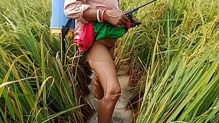 village nomita Spray on rice plants Bengali audio dirty