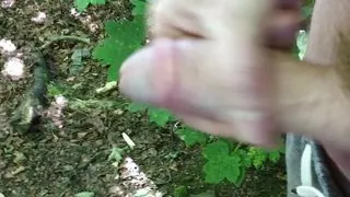 Wanking my hard cock outdoors in the Woods