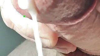 close-up in the morning