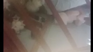 My StepCousin Fucks Me. Secret Shooting