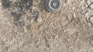 Jungle mein exercise Karte Karte sex karne Lag Gaya