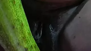 Today I squeezed a larger cucumber and sucked out the water