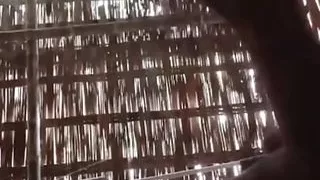 Quick Cheating Sex with My Desi Telugu Randi Backside Cattle Shead