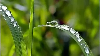 Bangla chodachudir golpo real female voice