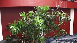 It's About that Time