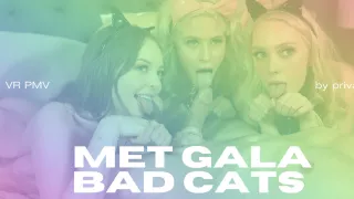 Met Gala Bad Cats - VR Porn PMV By Private Jet - PrivateJet