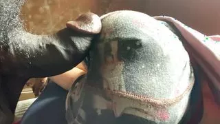 fucking big  tight slut xvideos