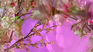 Sensual Lesbian Brunettes Strip and Caress Each Other Before Using Strapons to Please Their Pussies