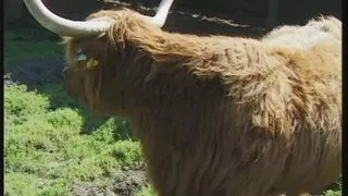 Just Sex No Time To Waste! - Episode 1