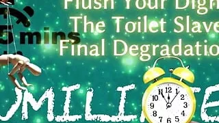 Shamestream: Flush Your Dignity - the Toilet Slave's Final Degradation