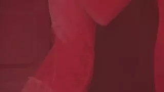 After the Show, the Stripper Fucked the Client in the Bathroom of the Club