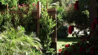 Schoolgirl Kenzie Kai Flashes Her Flat Chest and Cums for