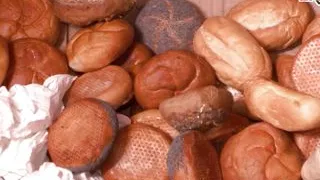 German ugly people having amateur sex