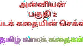 Anniyan Part 2 - Tamil kama kathai - Tamil Sex Story