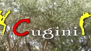 We Give It Out of Passion