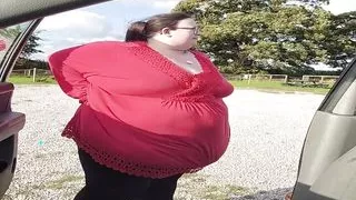 Lets Have a Walk in the Sunshine