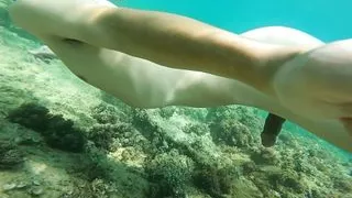 How I scream! Cumming with my selfie stick while snorkeling made me moan screaming like never before