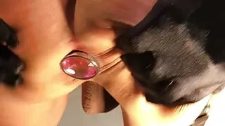 Limp Dick Sissy Puts on Cage