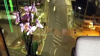 Two British Teens Sucking Cock