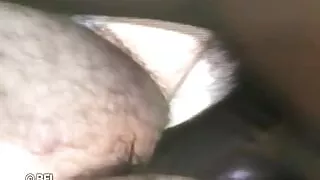 Brasil trans passion 12