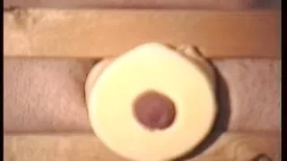 Sex with toilet roll 4
