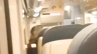 Handjob on the train