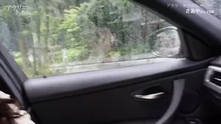 0004752_セックス 寝取り 美女などが含まれている