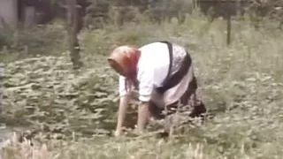 Hairy grandma spreads her legs for younger guy's pecker