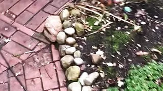 Small cock, big balls