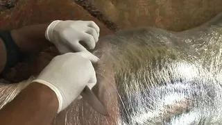 DYNAMIC BOOTY 4  (Full Movie)