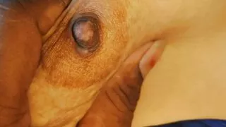 Sex video is made by Indian deci girl and hot aunty fuck for husband and deci girl sex in boy friend. #s3x. #xnxx #xhamaster.